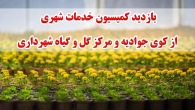 بازدید کمیسیون خدمات شهری شورای شهر گرگان